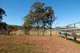 Photo - 501 Christmas Creek Road, Tabooba QLD 4285 - Image 13