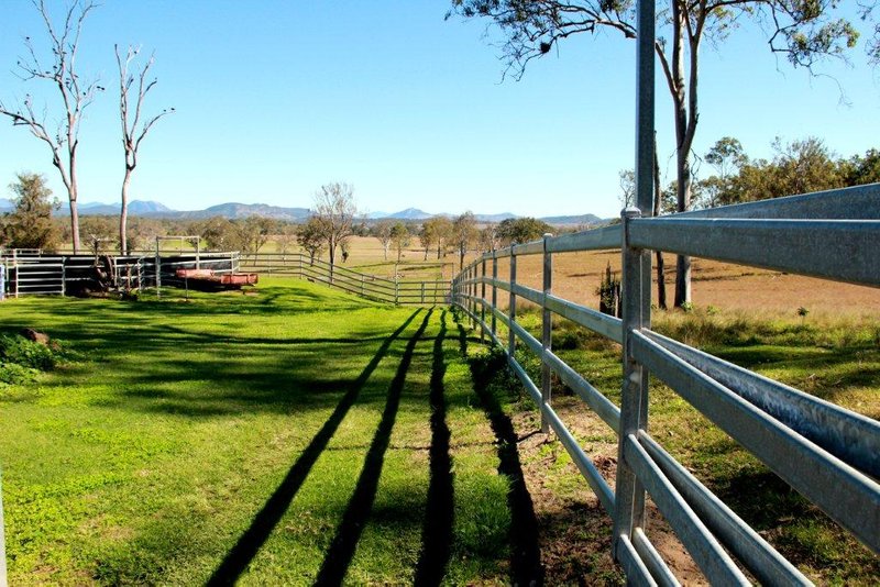 Photo - 501 Christmas Creek Road, Tabooba QLD 4285 - Image 16