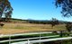 Photo - 501 Christmas Creek Road, Tabooba QLD 4285 - Image 18