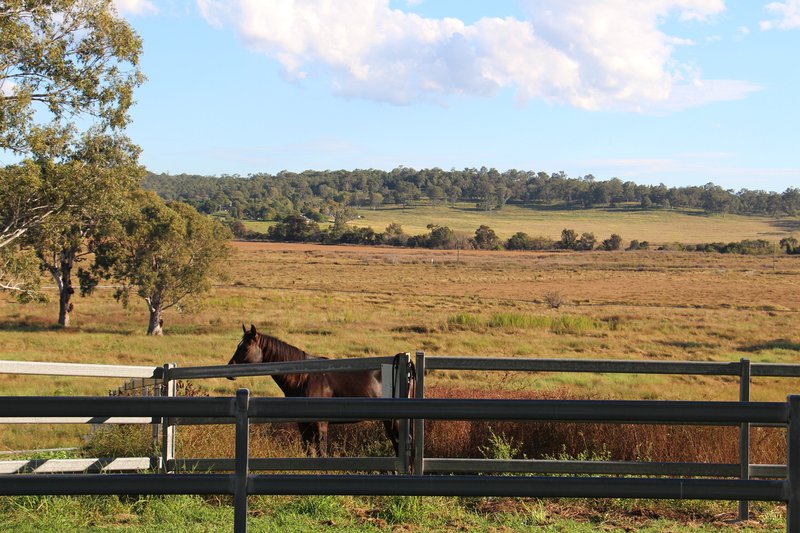 Photo - 501 Christmas Creek Road, Tabooba QLD 4285 - Image 25