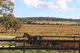 Photo - 501 Christmas Creek Road, Tabooba QLD 4285 - Image 25