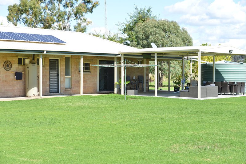 Photo - 501 River Road, Coonabarabran NSW 2357 - Image 15