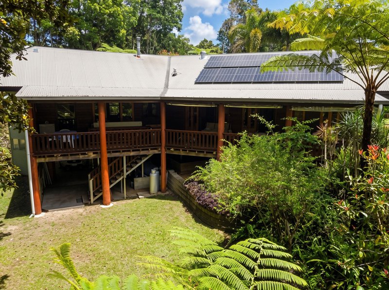 Photo - 502 Lake Barrine Road, Malanda QLD 4885 - Image 27