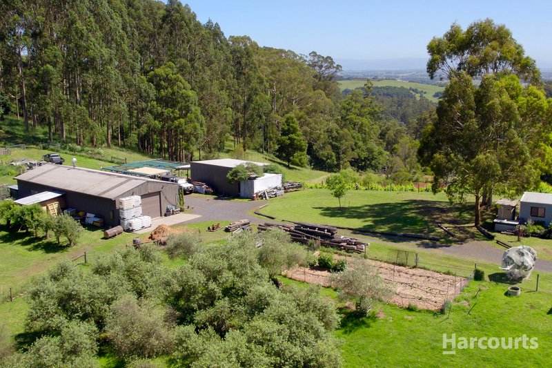 Photo - 504 Warragul-Leongatha Road, Seaview VIC 3821 - Image 3