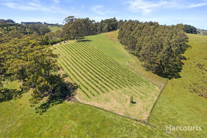 Photo - 504 Warragul-Leongatha Road, Seaview VIC 3821 - Image 18