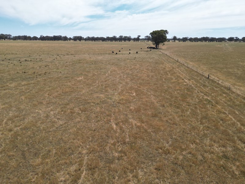 Photo - 5047 Murray Valley Highway, Norong VIC 3682 - Image 3