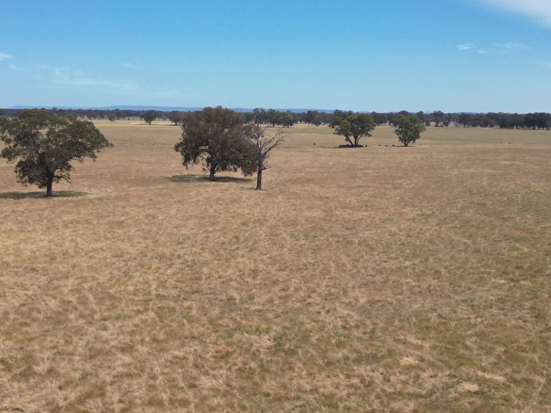 Photo - 5047 Murray Valley Highway, Norong VIC 3682 - Image 5