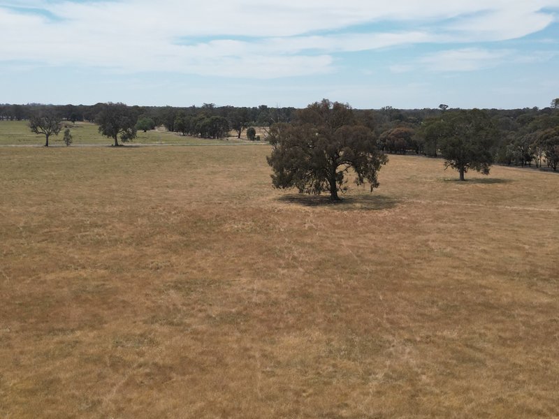 Photo - 5047 Murray Valley Highway, Norong VIC 3682 - Image 6