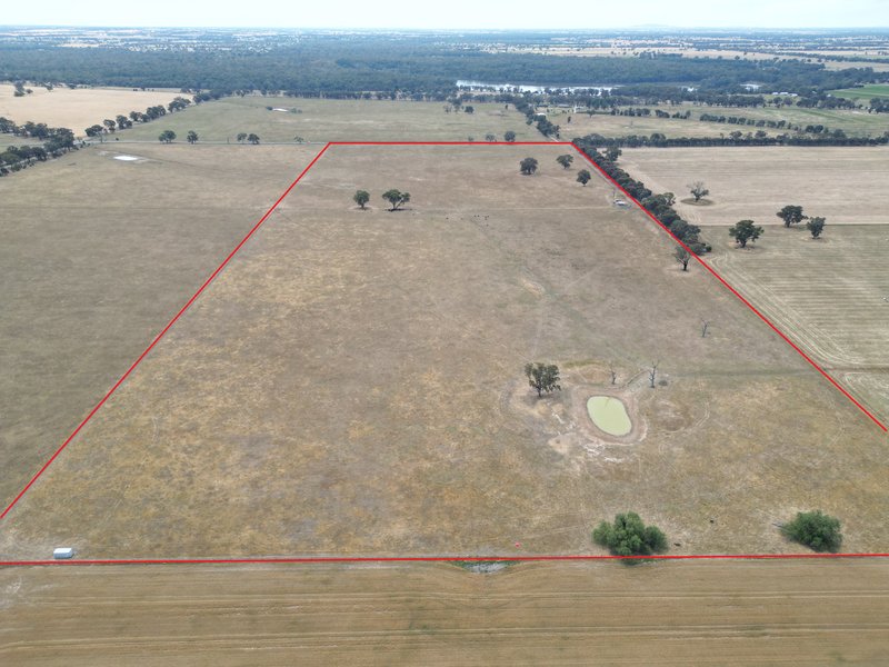 Photo - 5047 Murray Valley Highway, Norong VIC 3682 - Image 7