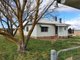 Photo - 506 Enmore Road, Armidale NSW 2350 - Image 1