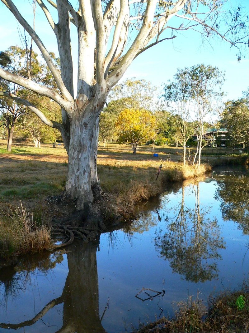 Photo - 507 Moore Road, Kurwongbah QLD 4503 - Image 21