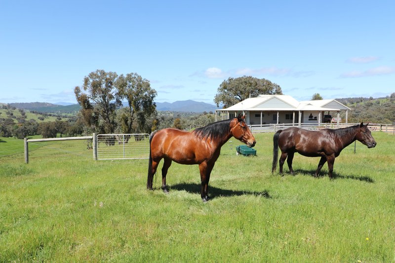 Photo - 508 Old Tonga Road, Mansfield VIC 3722 - Image 4