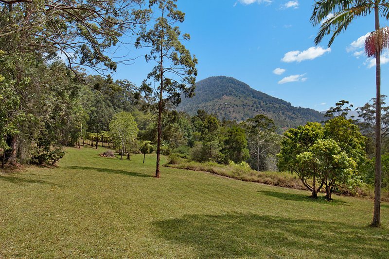 Photo - 509 Zara Road, Limpinwood NSW 2484 - Image 13