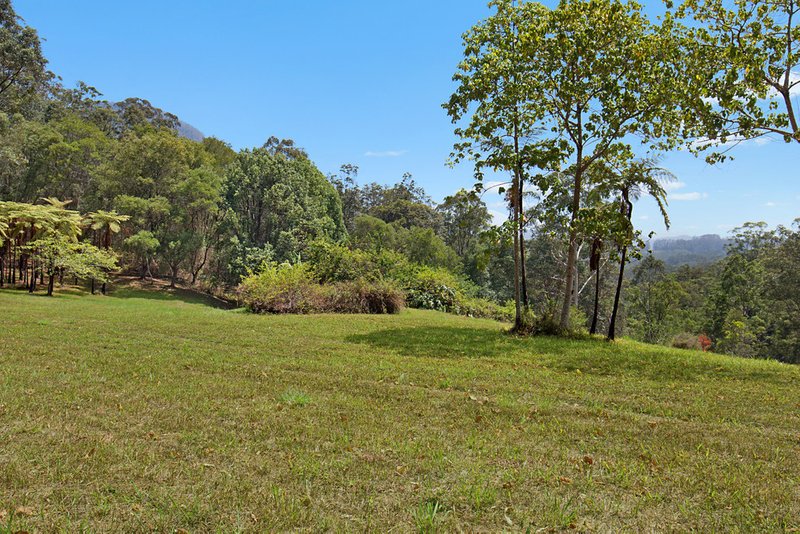 Photo - 509 Zara Road, Limpinwood NSW 2484 - Image 14