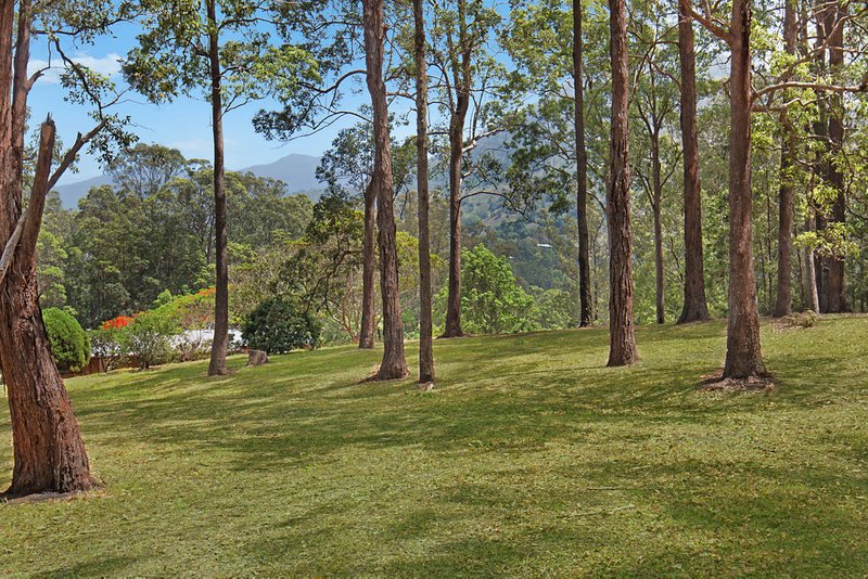 Photo - 509 Zara Road, Limpinwood NSW 2484 - Image 15