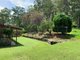 Photo - 509 Zara Road, Limpinwood NSW 2484 - Image 17