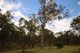 Photo - 51 Arbouin Road, Kaban QLD 4888 - Image 5