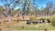 Photo - 51 Arbouin Road, Kaban QLD 4888 - Image 22