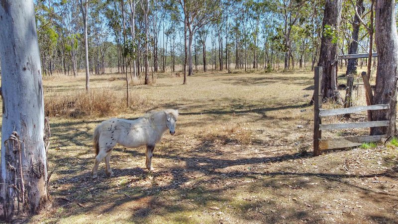 Photo - 51 Arbouin Road, Kaban QLD 4888 - Image 24