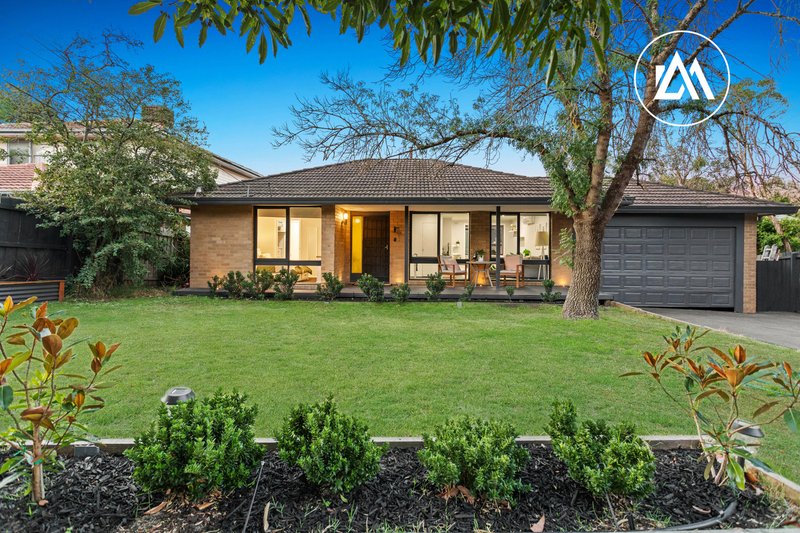 51 Beech Street, Langwarrin VIC 3910