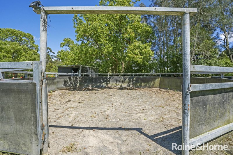 Photo - 51 Burton Road, Eleebana NSW 2282 - Image 30