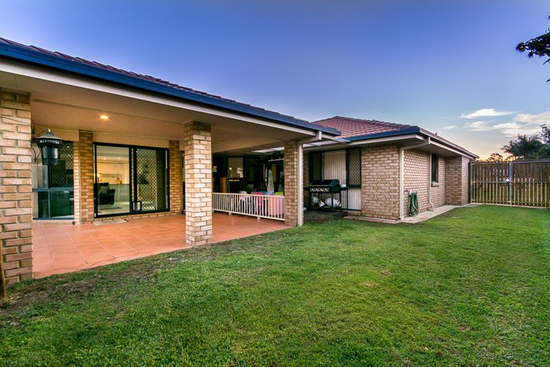 Photo - 51 Calista Crescent, Bracken Ridge QLD 4017 - Image 15