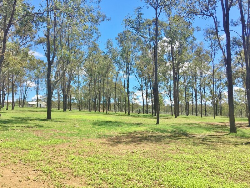 Photo - 51 Camp Creek Road, Nanango QLD 4615 - Image 14