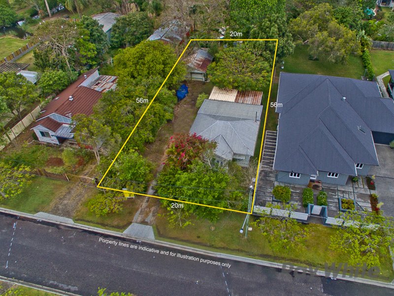 51 Carter Street, Northgate QLD 4013