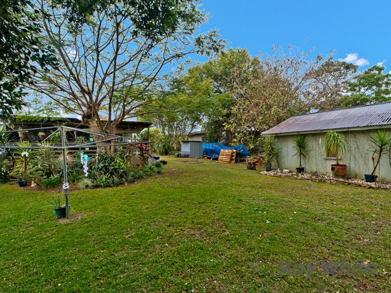 Photo - 51 Carter Street, Northgate QLD 4013 - Image 5