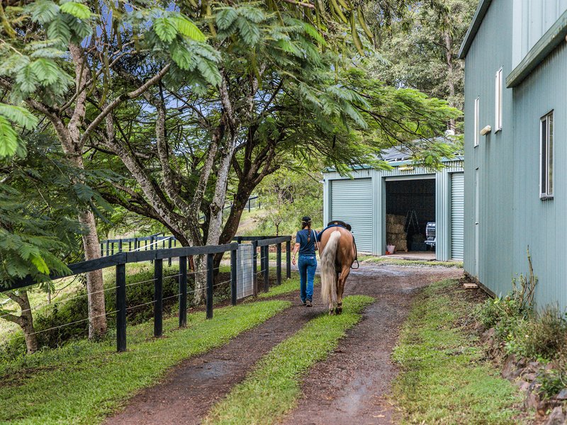 Photo - 51 Country Road, Palmwoods QLD 4555 - Image 10