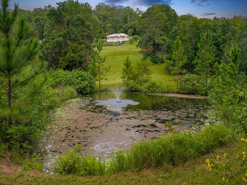 Photo - 51 Country Road, Palmwoods QLD 4555 - Image 35