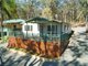 Photo - 51 Cove Boulevard, North Arm Cove NSW 2324 - Image 1