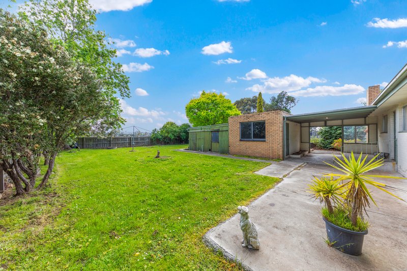 Photo - 51 Drouin Road, Longwarry VIC 3816 - Image 19