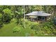 Photo - 51 Ensbey Road, Flaxton QLD 4560 - Image 2