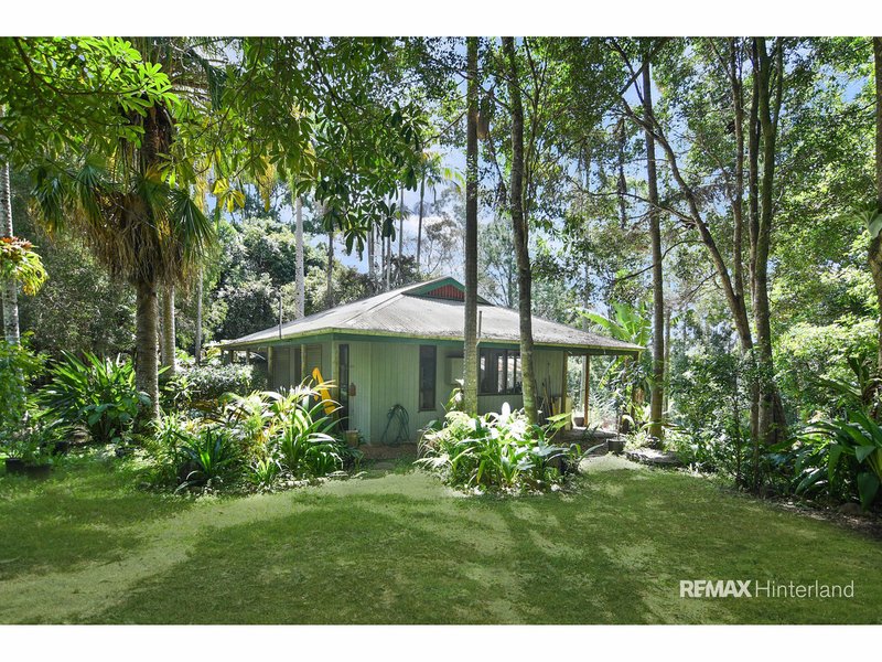 Photo - 51 Ensbey Road, Flaxton QLD 4560 - Image 3
