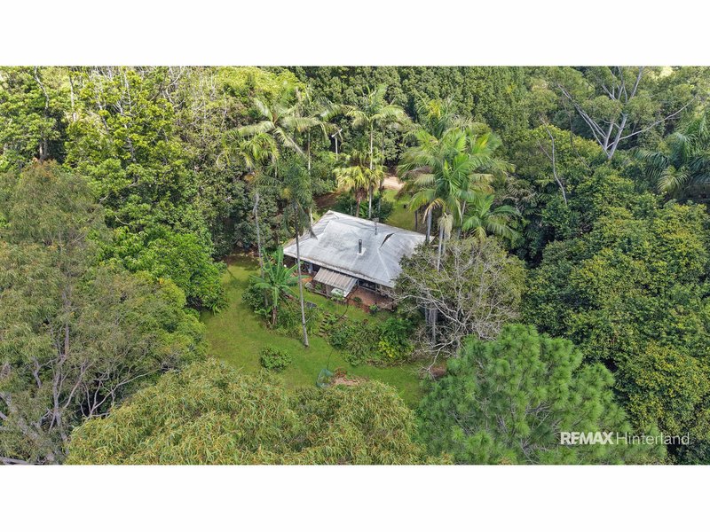 Photo - 51 Ensbey Road, Flaxton QLD 4560 - Image 16