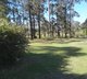 Photo - 51 Forest Glen Road, Limeburners Creek NSW 2324 - Image 2