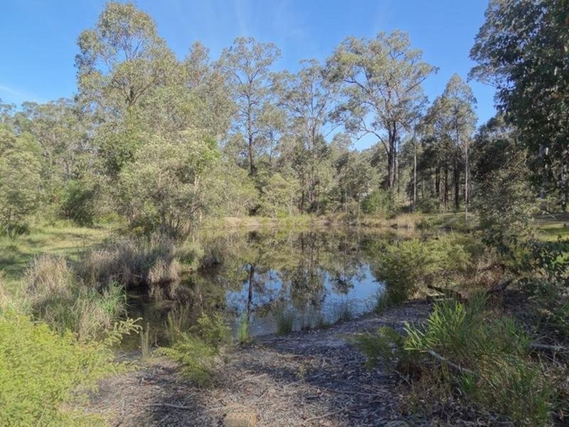 Photo - 51 Forest Glen Road, Limeburners Creek NSW 2324 - Image 5