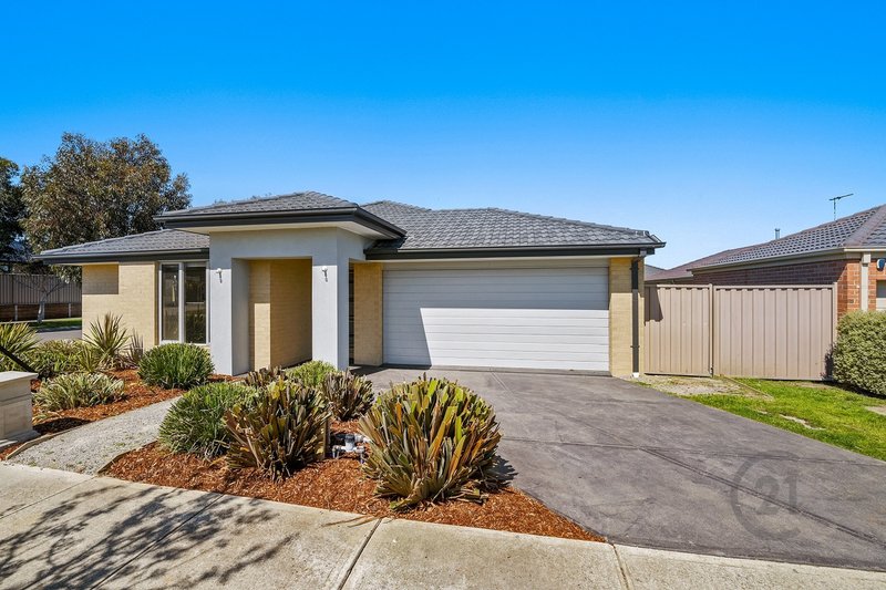 Photo - 51 Harrison Way, Pakenham VIC 3810 - Image 15