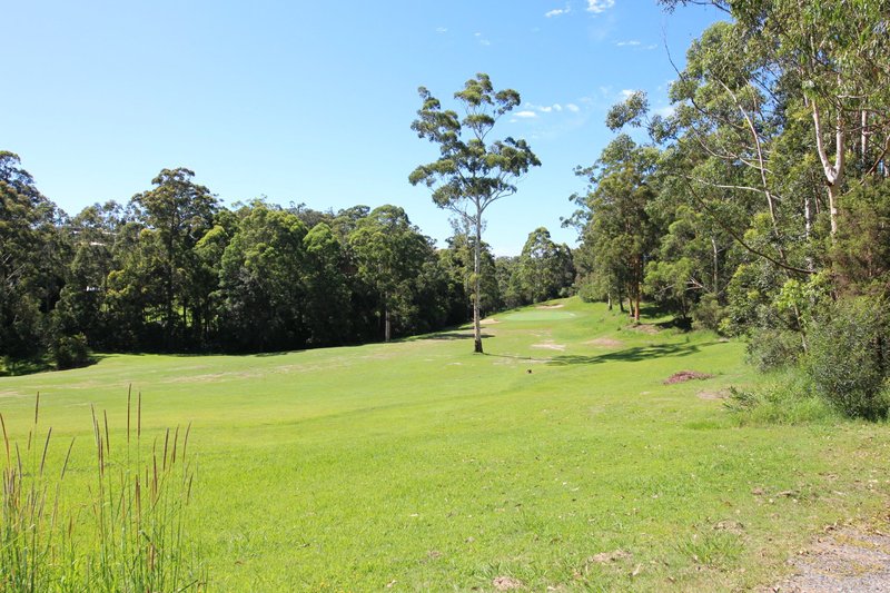 Photo - 51 Hilltop Parkway, Tallwoods Village NSW 2430 - Image 3