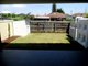 Photo - 51 Irwin Avenue, Altona North VIC 3025 - Image 23