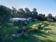 Photo - 51 Johnston Road, Nannup WA 6275 - Image 1