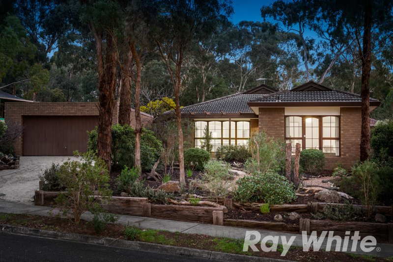 Photo - 51 Joseph Street, Blackburn North VIC 3130 - Image 3