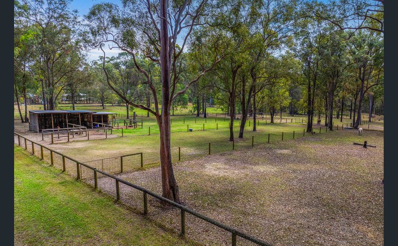 Photo - 51 Lavelle Drive, Logan Village QLD 4207 - Image 11