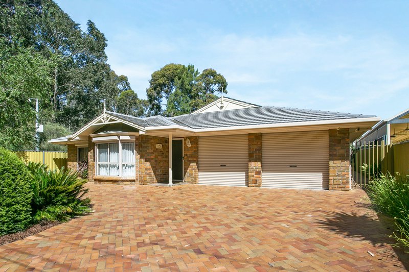 51 Lincoln Road, Paradise SA 5075