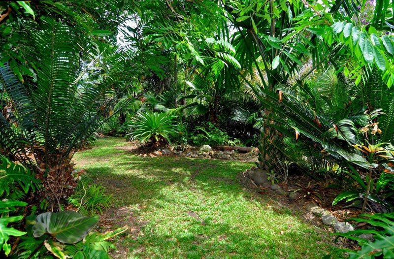 Photo - 51 Masons Road, Kuranda QLD 4881 - Image 23