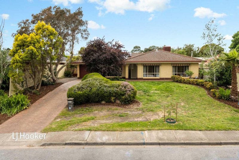 51 Mcewin Avenue, Redwood Park SA 5097