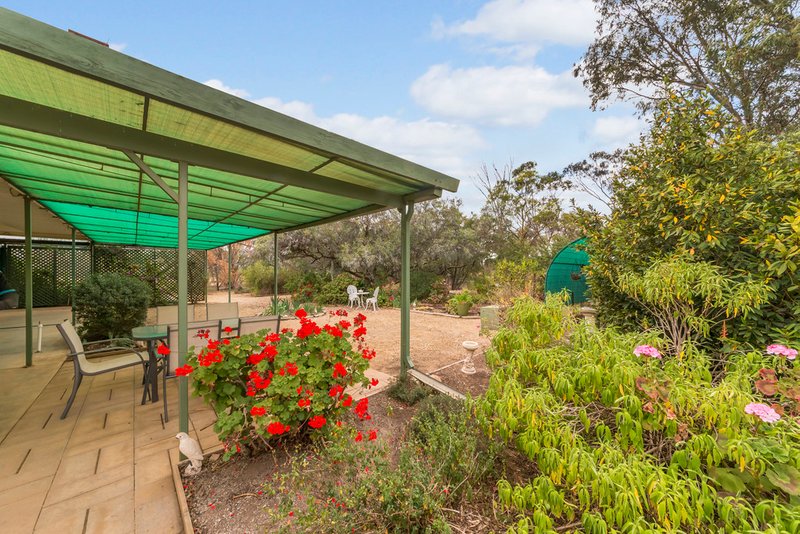 Photo - 51 Old Mallala Road, Owen SA 5460 - Image 12