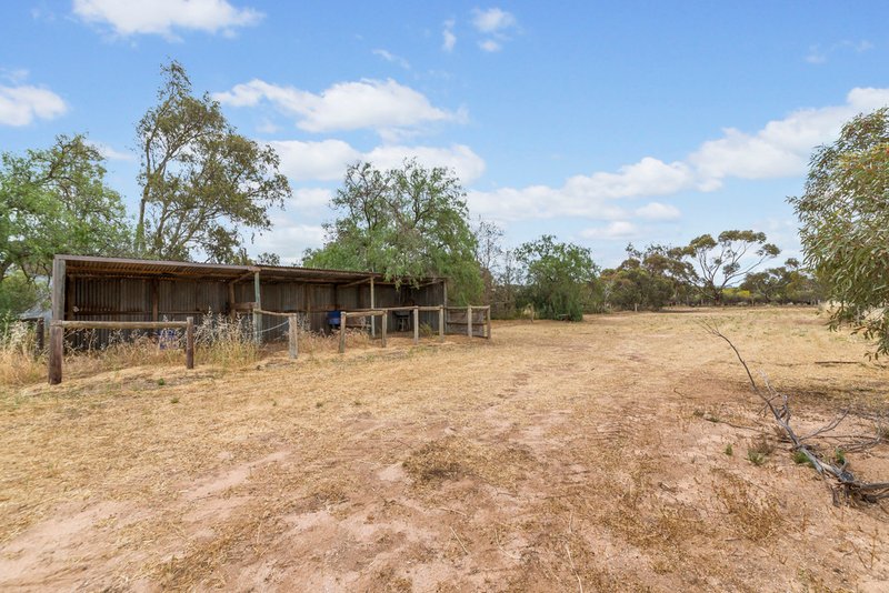 Photo - 51 Old Mallala Road, Owen SA 5460 - Image 18