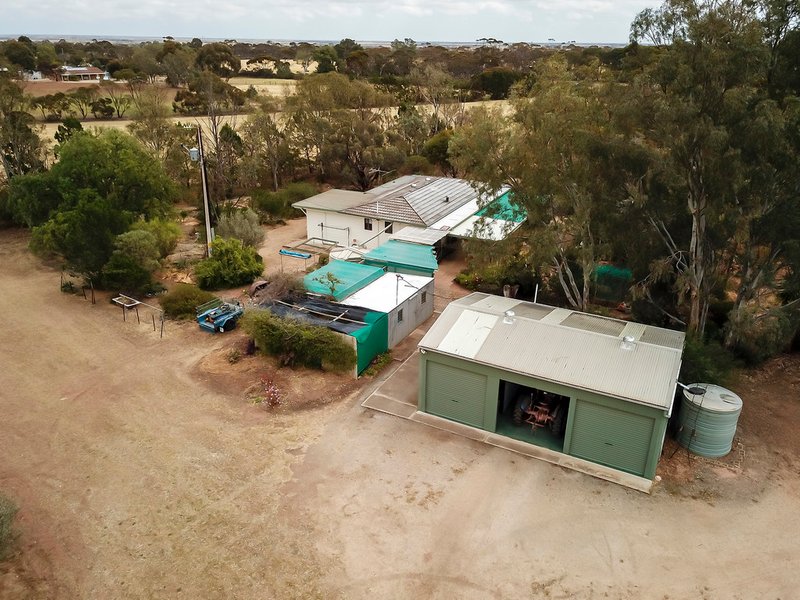 Photo - 51 Old Mallala Road, Owen SA 5460 - Image 19